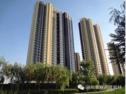 濱州風度柏林