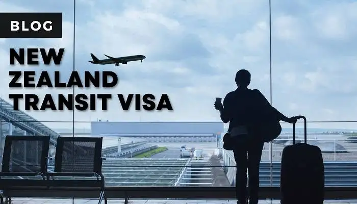 The Benefits of Applying for a New Zealand Visa Online