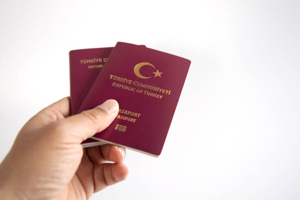 Navigating the Process of Obtaining an Urgent Visa for Turkey